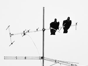 Antena-ustawienie anteny naziemnej